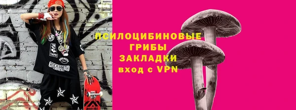 мяу мяу мука Бородино