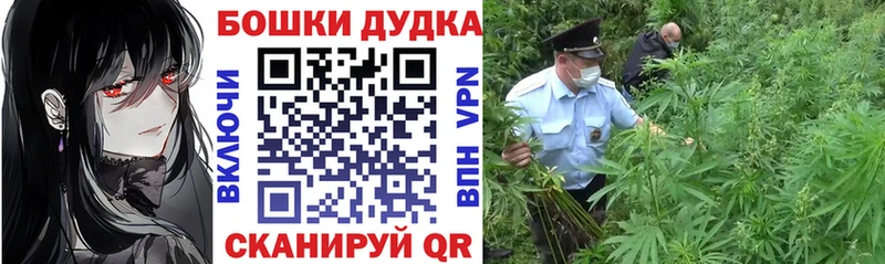 Марихуана план  Бузулук 